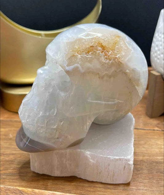 Druzy Agate Skull