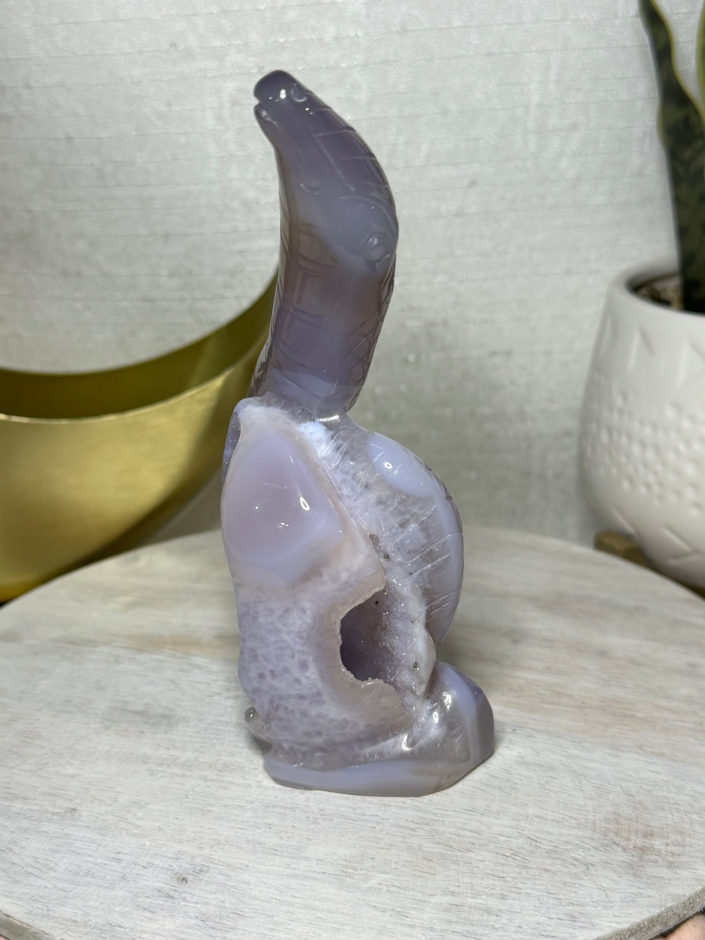 Sugar Druzy Agate Snake