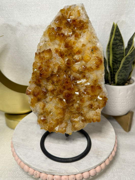 Citrine Cluster on Stand - XL