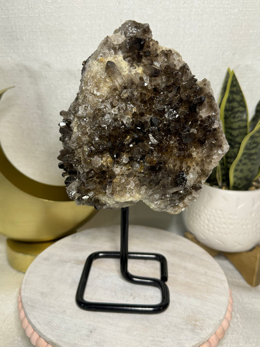 Smoky Quartz Cluster on Stand